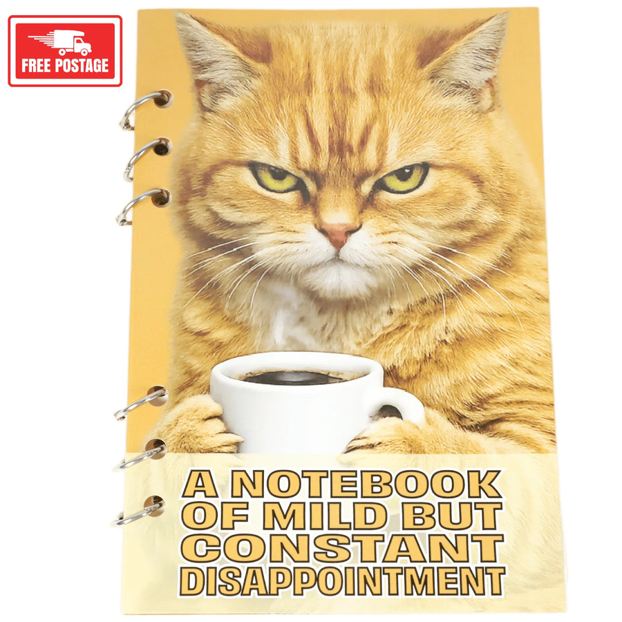 A Notebook of Mild but Constant Disappointment cover
