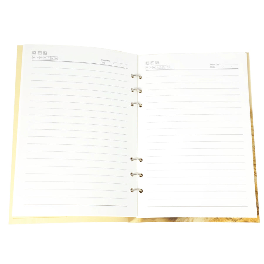 A Notebook of Mild but Constant Disappointment interior