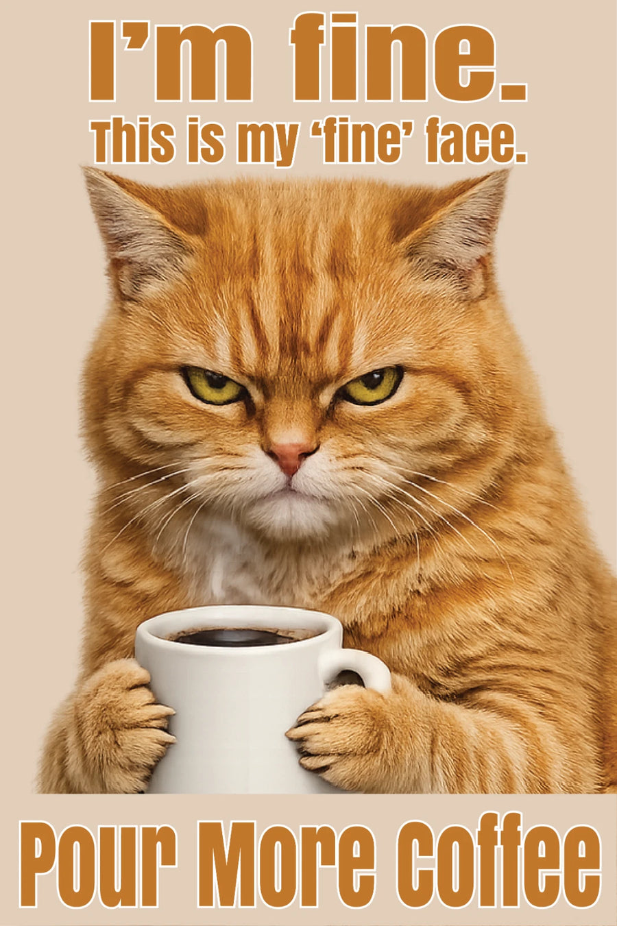 Im Fine This is my Fine Face cat metal sign