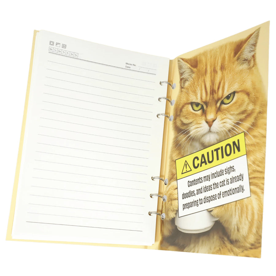 A Notebook of Mild but Constant Disappointment back cover